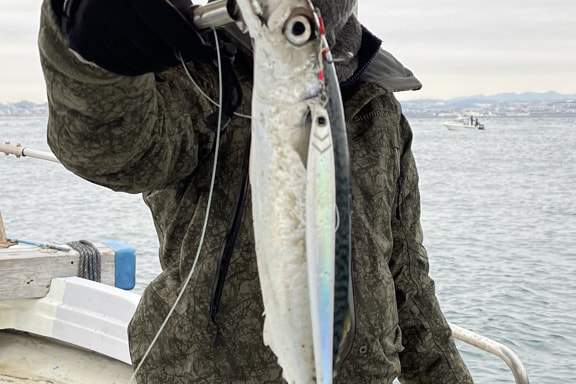 2018-5-19madai_hamati_mebaru