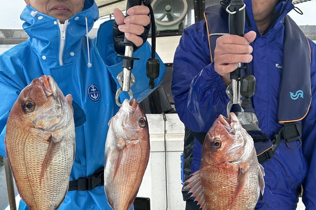 2018-8-10_madako_tubasu_masaba