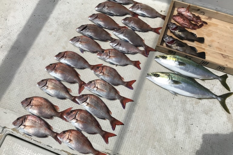 2018-5-19madai_hamati_mebaru