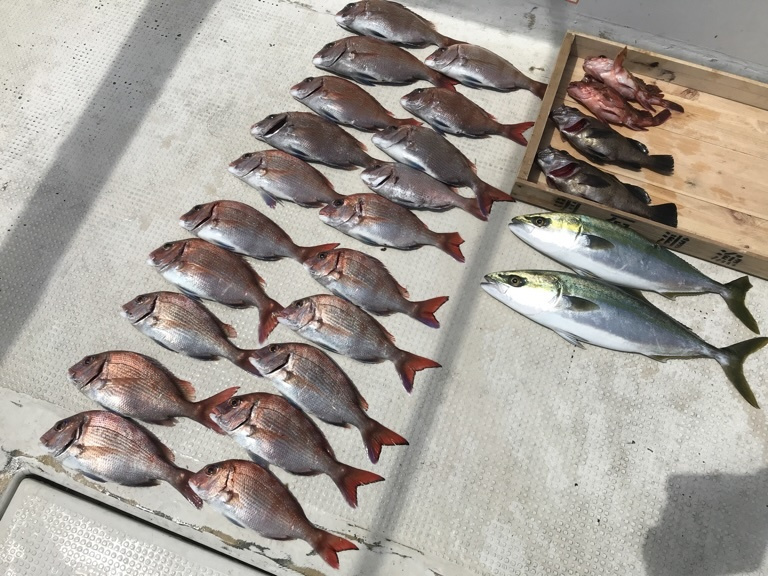 2018-5-19madai_hamati_mebaru